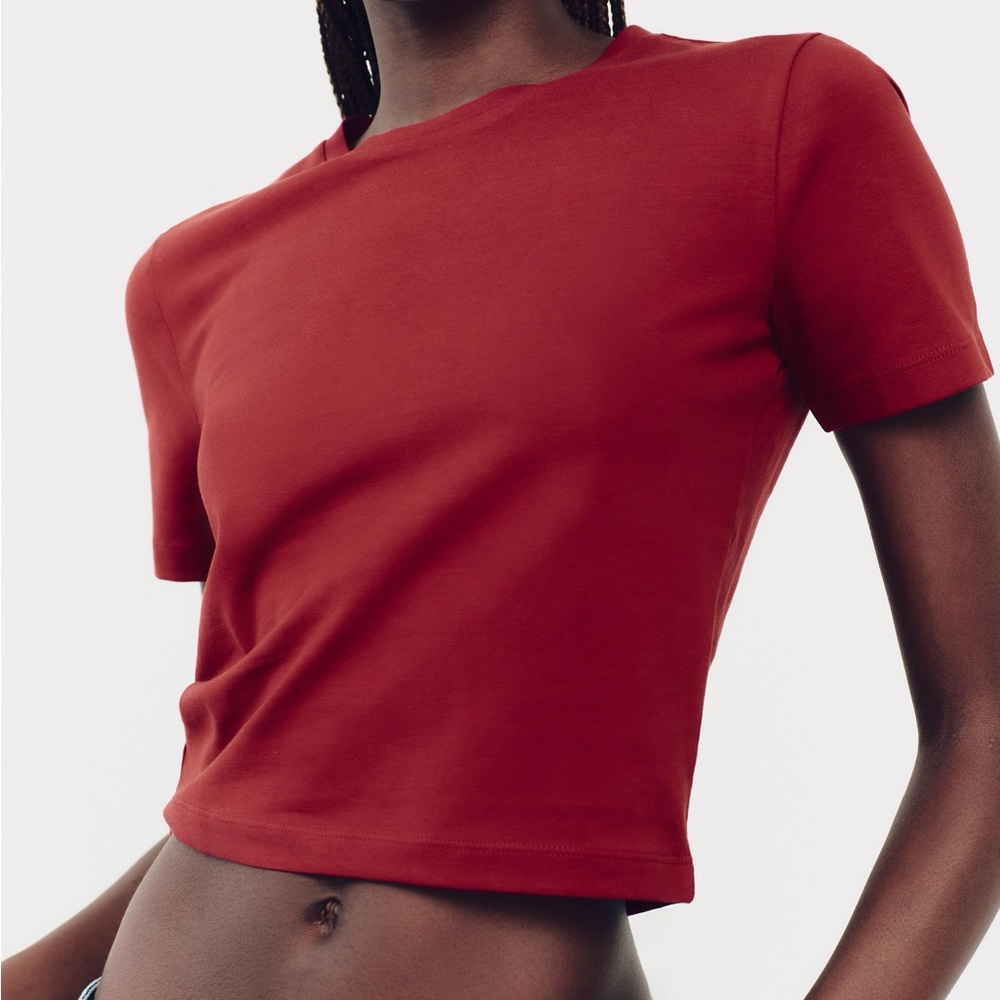 Zara Red Crop Top